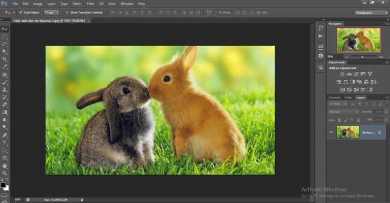 tách màu trong photoshop