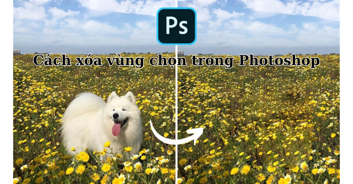 xóa vùng chọn trong Photoshop