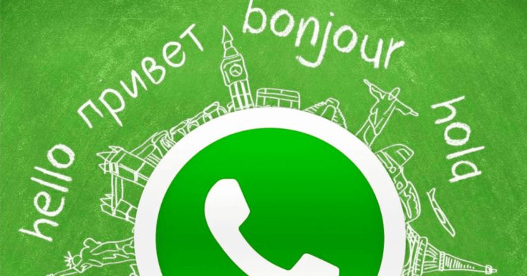 Tính năng dịch ngôn ngữ trên WhatsApp