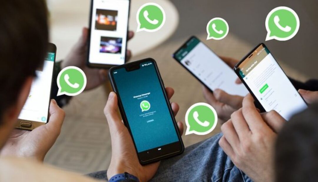 Trích dẫn tin nhắn trên WhatsApp là gì
