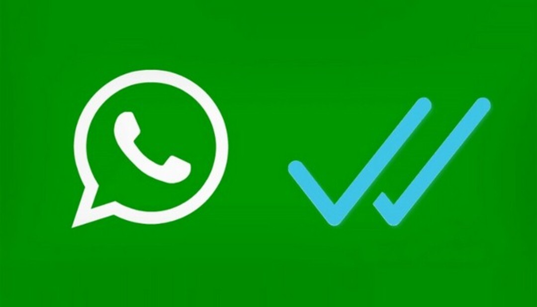 cách xem thời gian đã đọc tin nhắn trên whatsapp