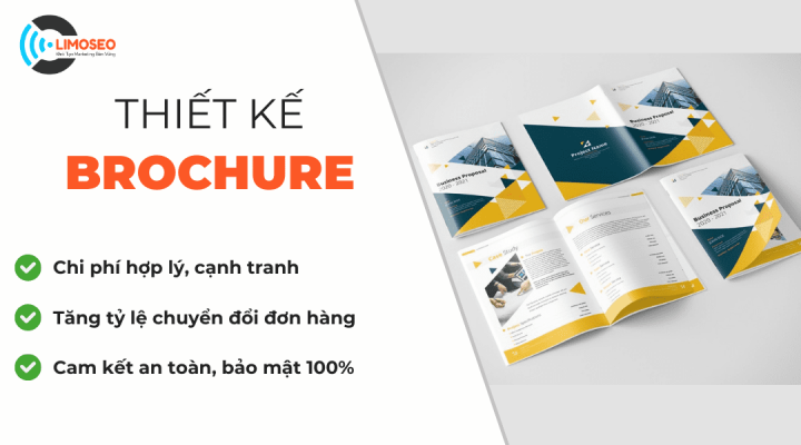 thiết kế brochure
