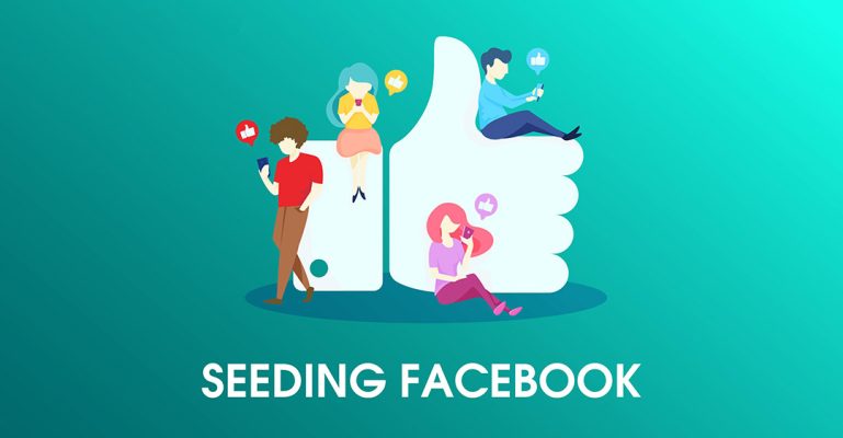 Các loại seeding Facebook là gì