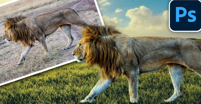 Hướng dẫn cách ghép ảnh chồng lên nhau bằng Photoshop đơn giản