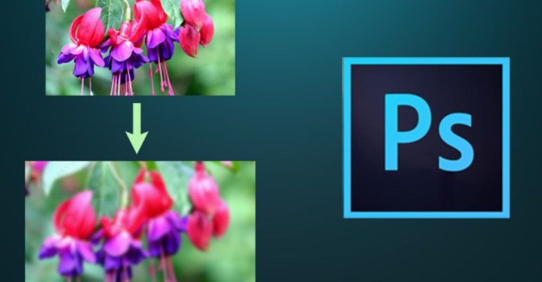 Lợi ích của việc làm ảnh chìm trong Photoshop