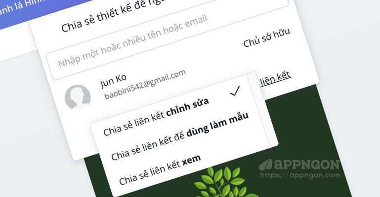 Canva có giới hạn số member chia sẻ thiết kế không