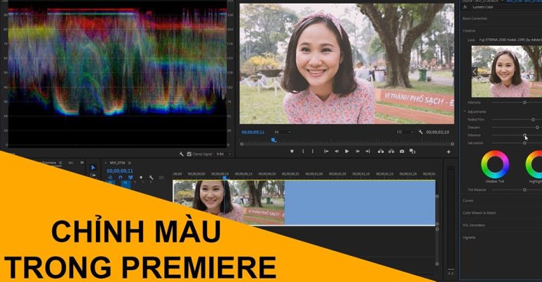 Đổi màu trong Premiere là gì