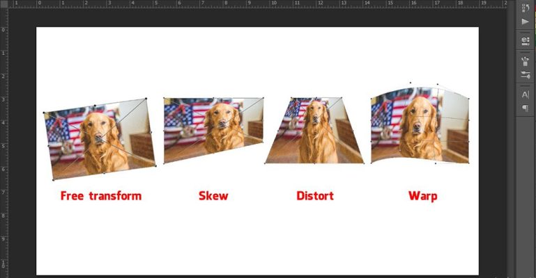 Resize layer trong chỉnh sửa ảnh là gì