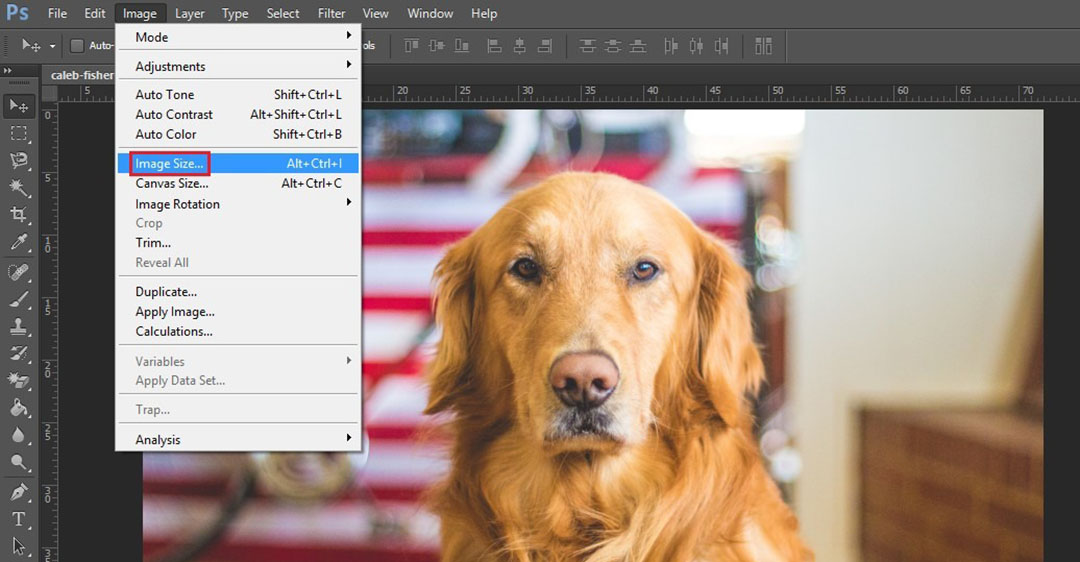 resize layer trong Photoshop