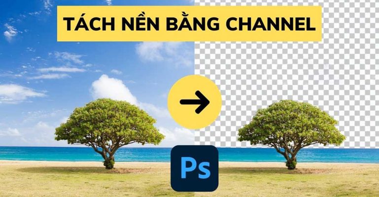 tách nền phức tạp trong Photoshop