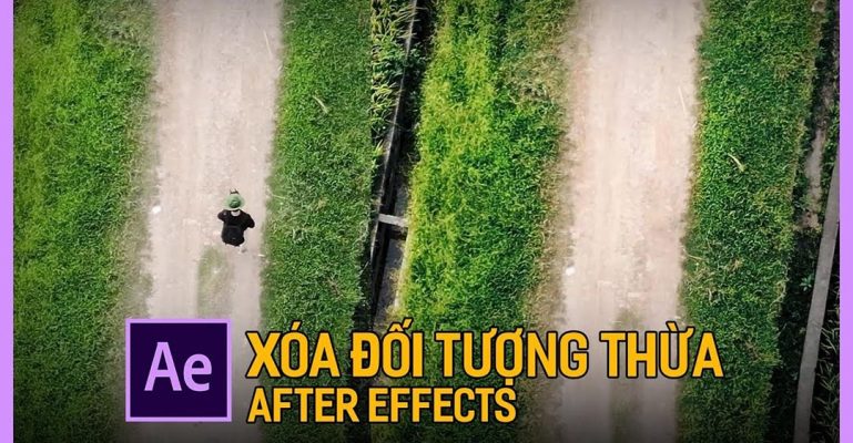 Vì sao nên xóa vật thể bằng Premiere