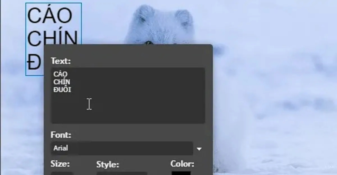 Viết chữ lên ảnh trong Photoshop Online là gì