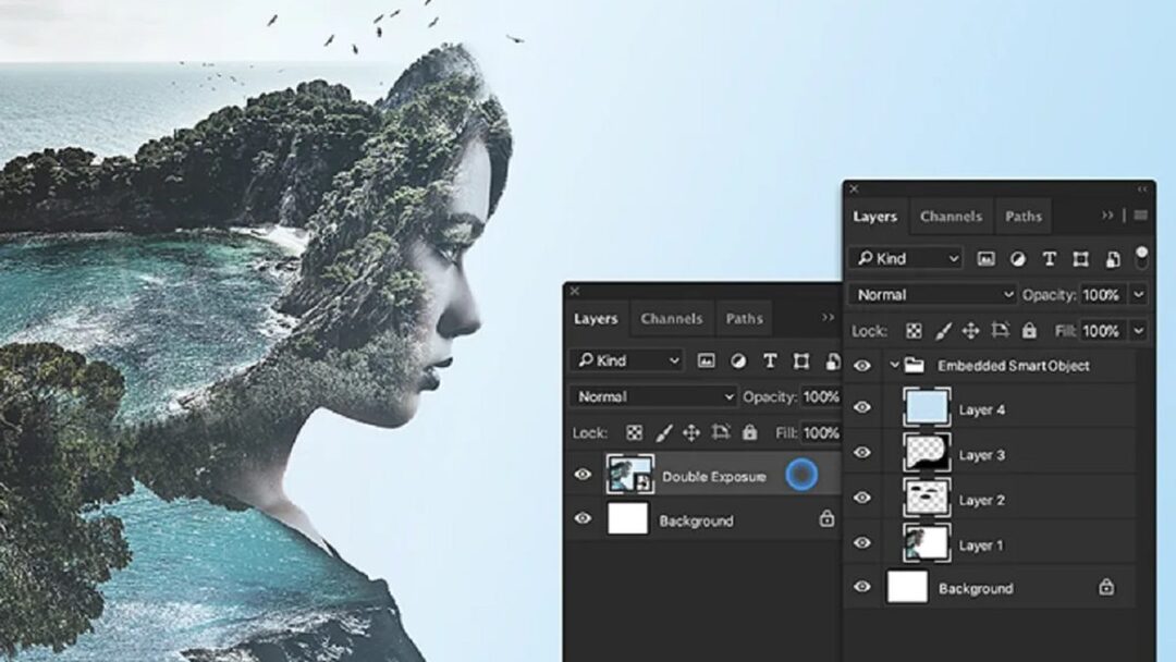Giới thiệu về Photoshop và Illustrator