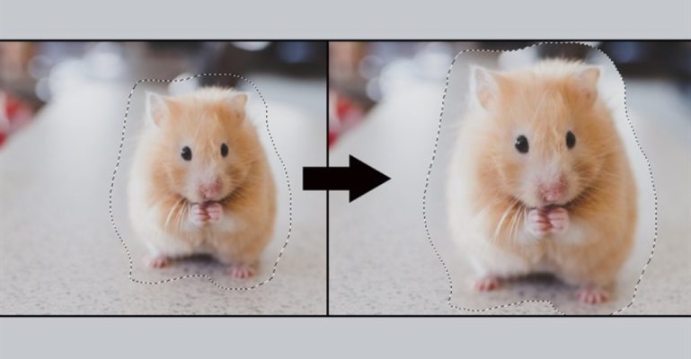 Cách chọn vùng chọn trong Photoshop bằng Marquee Tool