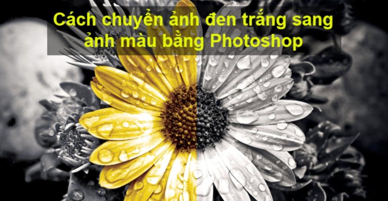 Cách chuyển ảnh trắng đen sang ảnh màu bằng Photoshop bằng Neural Filters