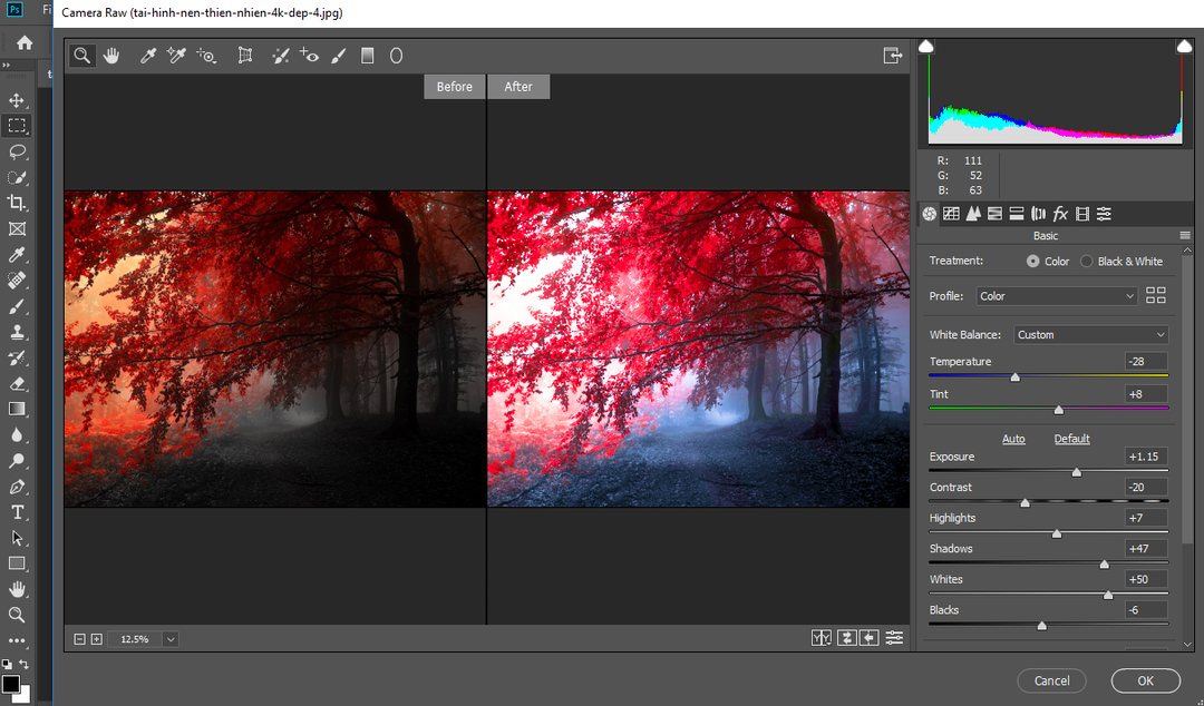 Hướng dẫn bật camera raw trong Photoshop