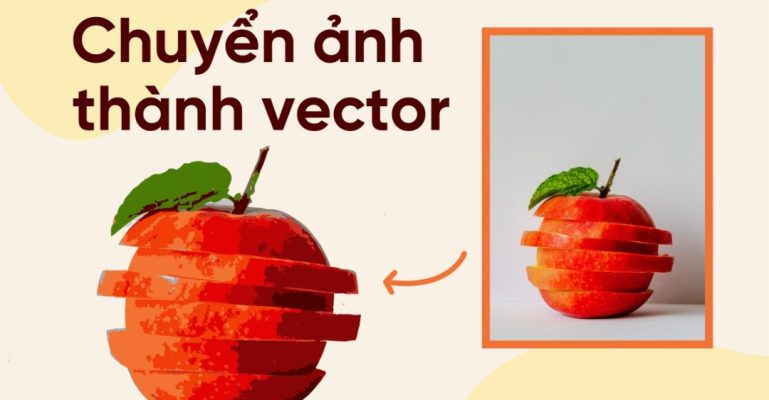 Vector trong Photoshop là gì