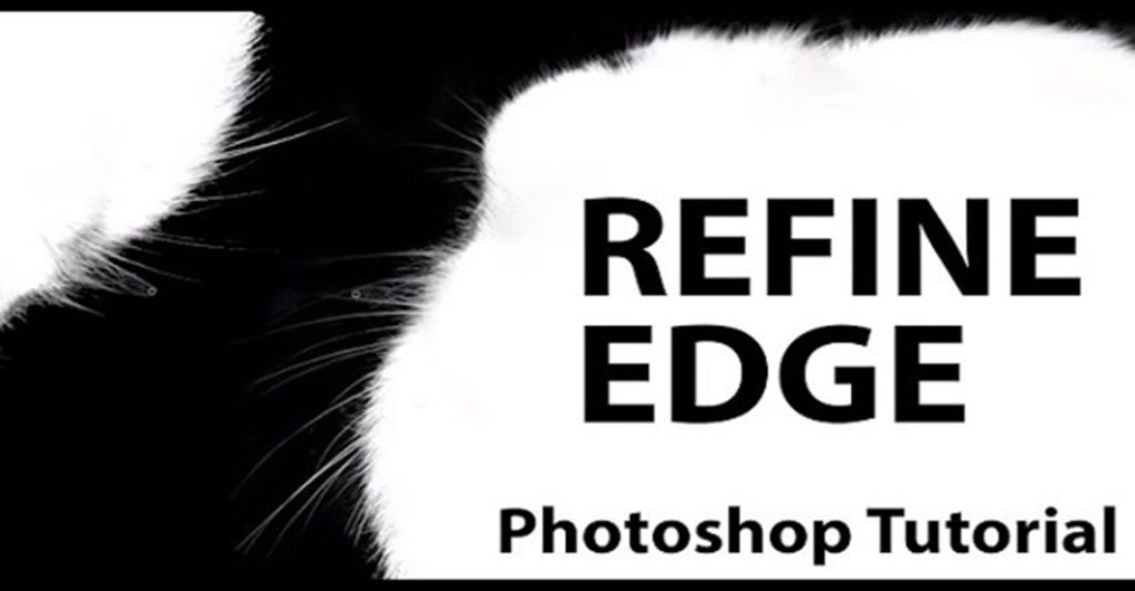 cách sử dụng Refine Edge trong Photoshop
