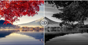 cách loại bỏ màu trong Photoshop