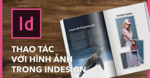 Giới thiệu về chỉnh sửa ảnh trong InDesign